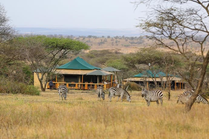 Sound Of Nature Serengeti, 