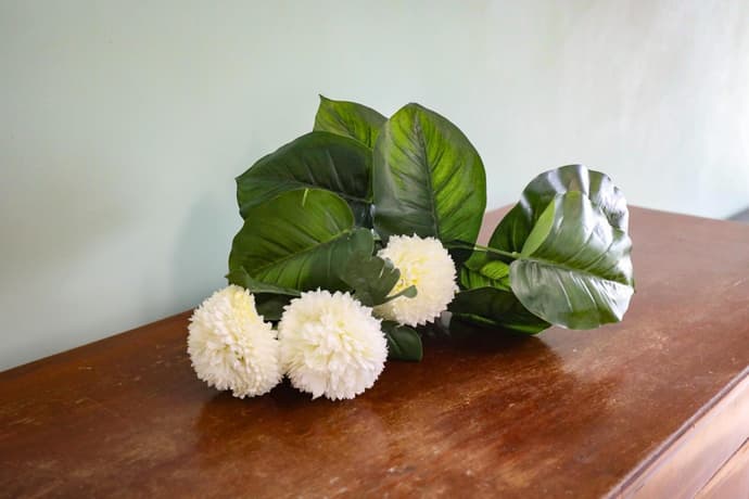 Domus Antica Trastevere, 