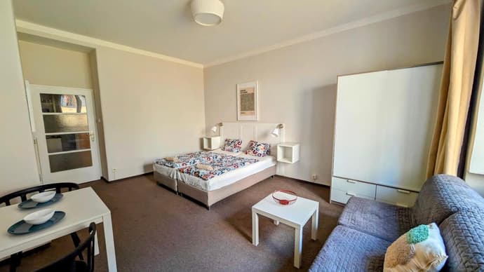 Flat in Zizkov -104-, 