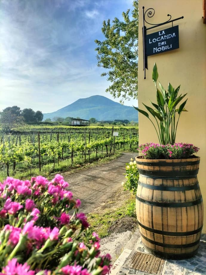 Vesuvio Inn Guest House e Wine Experience, 