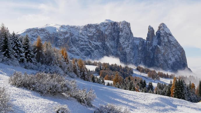 Apartment Hotel Elvis, 