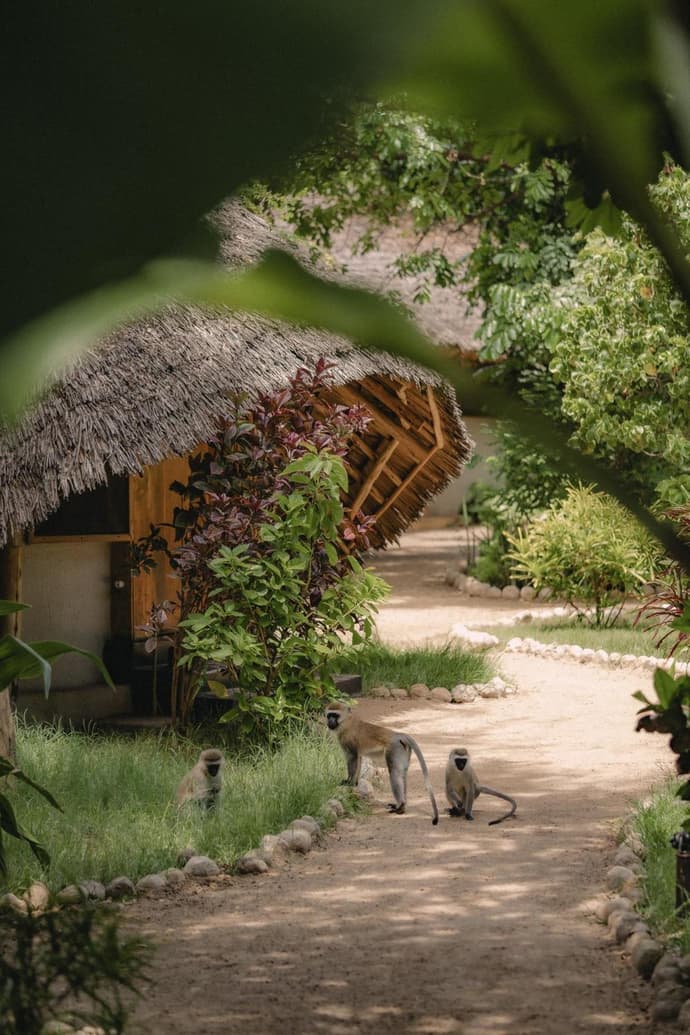 The Jungle Pearl Resort, 