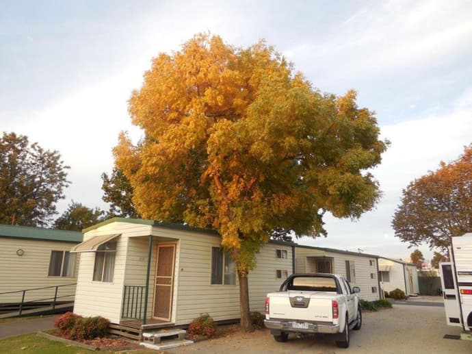 Wodonga Caravan & Cabin Park, 