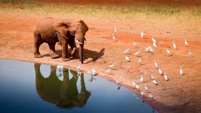 Kilimanjaro to Mombasa, Private Tour