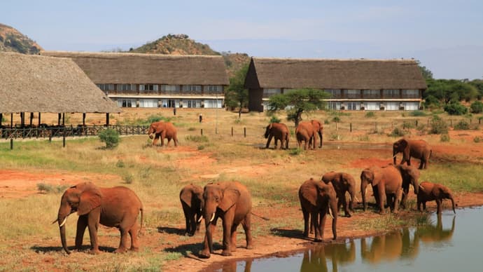 1 Night Safari Tsavo East