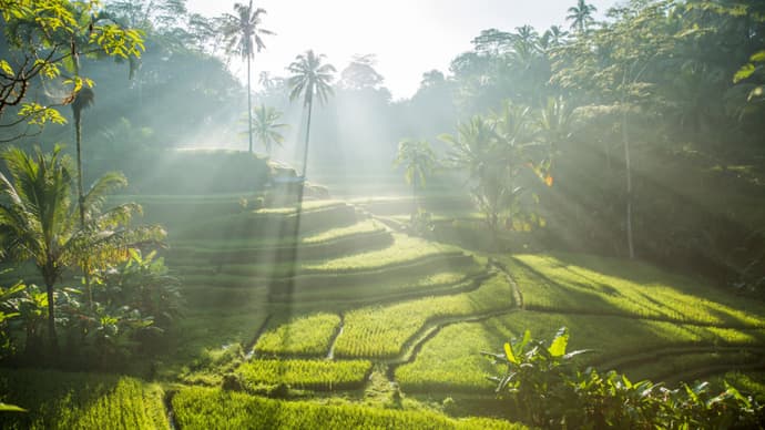 E-Bike: South Ubud Villages and Nature