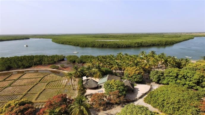 Casamance, Des Iles Et Des Hommes