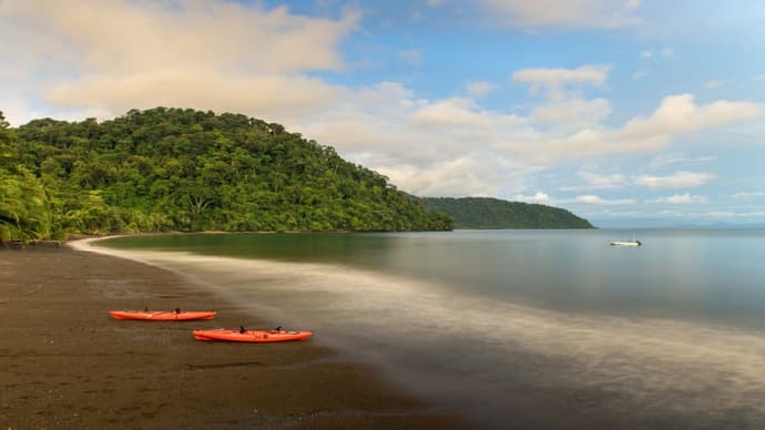 Extension to Puerto Jimenez, South Pacific / 3 nights