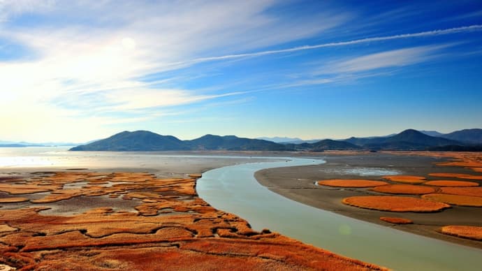 Circuit individuel : Corée intégrale