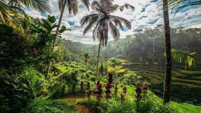 Duo Cendana Resort Ubud & Respati Hotel Sanur - 16 nuits