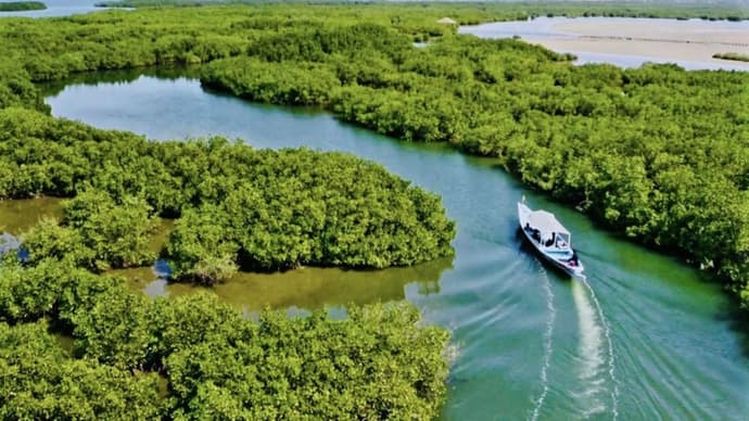 Rencontres, Découvertes, Farniente