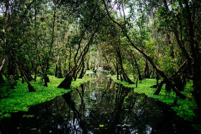 Vietnam Esencial + Delta del Mekong - Privado (LOW COST)