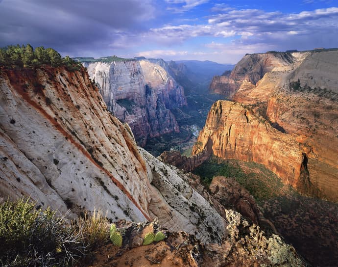 Las Vegas y sus Desiertos desde Los Ángeles