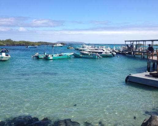 GALAPAGOS BASICO ISLA ISABELA (3 DIAS) 2026