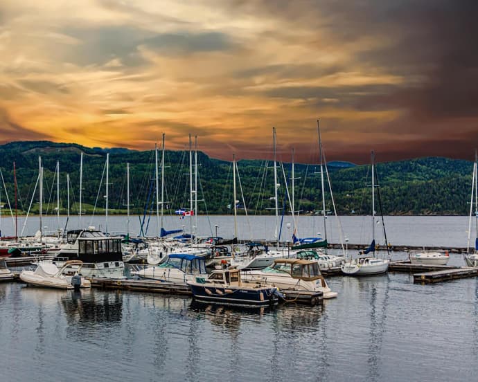 QUEBEC SALVAJE 2026 - QSA-10
