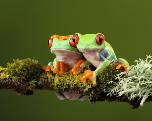 New Year's Eve in Costa Rica