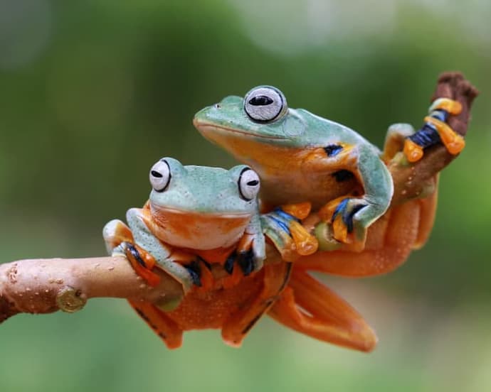 Pura Vida Exclusivo TUI