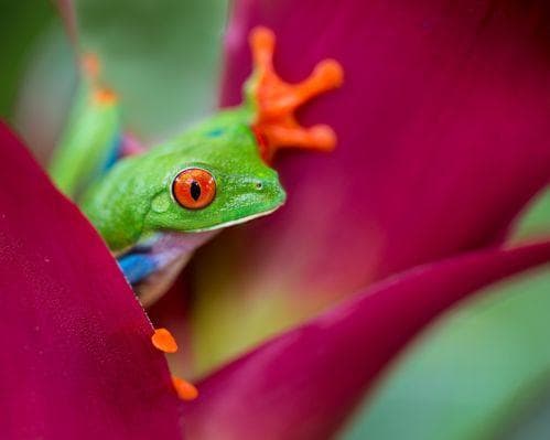 Costa Rica en Semana Santa