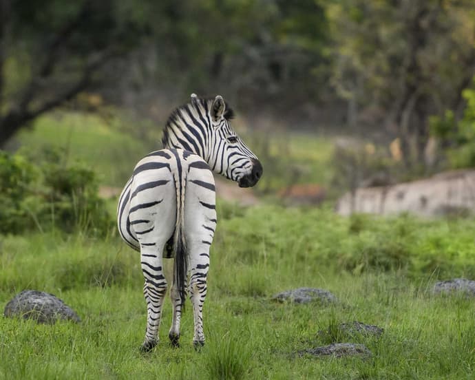 2 notti Victoria Falls