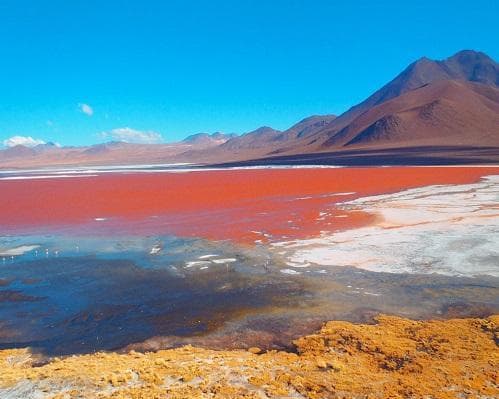 Antofagasta de la Sierra - Tierra de Volcanes & Salares