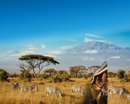 Safari no Quénia + Praia