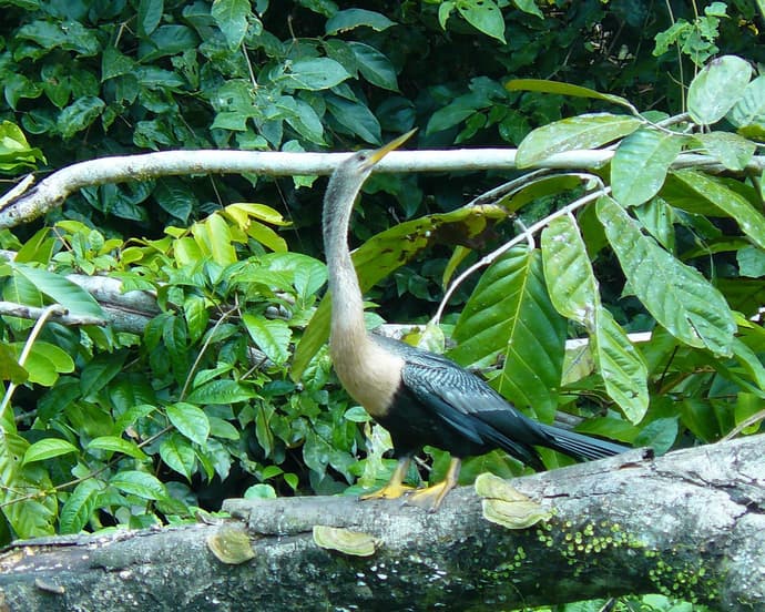 Costa Rica & Nicaragua Rundreise