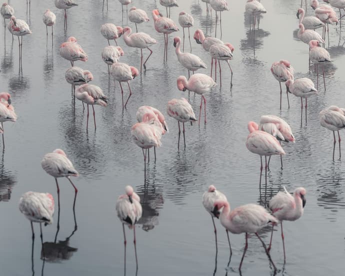 Mete imperdibili della Namibia