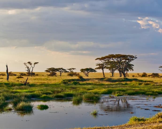 EXPERIENCE TANZANIA Sulle Orme della Grande Migrazione