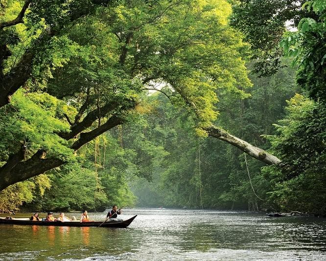 Kurztour "3 Tage Taman Negara"