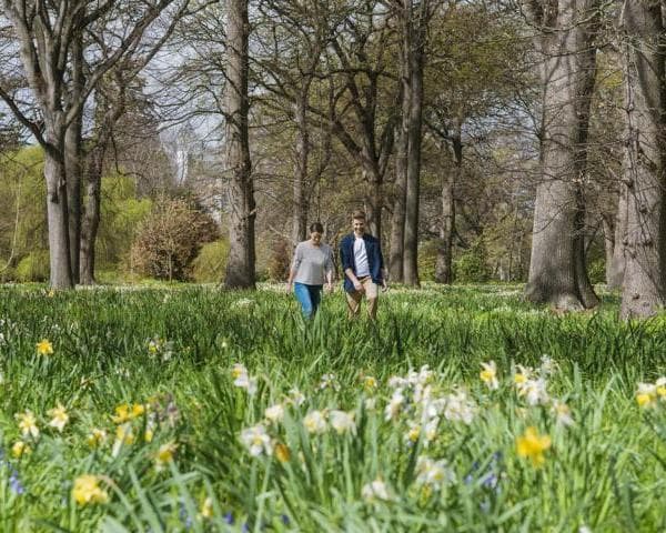 Best of Neuseeland Selbstfahrer-Rundreise