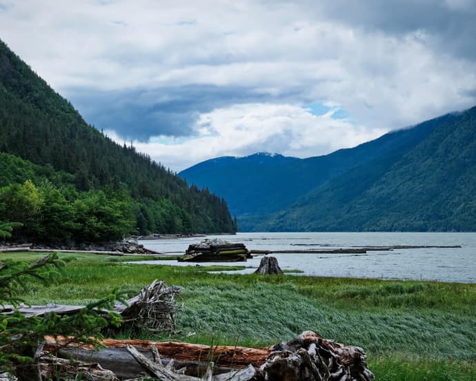OSOS BELLA COOLA Y EL OSO GRIZZLY 4 DIAS 