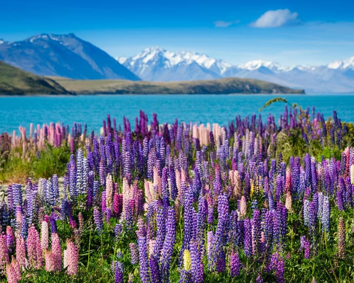 SOUTHERN CROSS TOUR 2025/2026