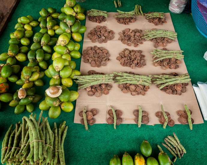 Dive Into Raja Ampat