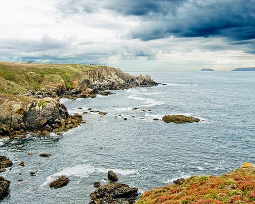 Esencias de Galicia (con transporte)