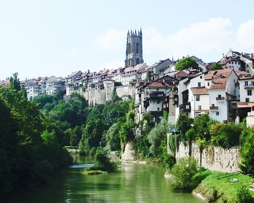 LA SELVA NEGRA Y LA ALSACIA 2026/2027