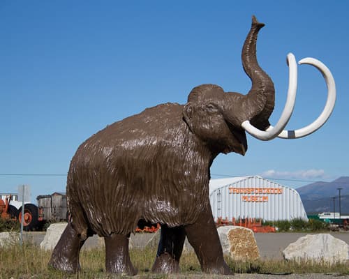 Expedición Boreal (Días 4-7)