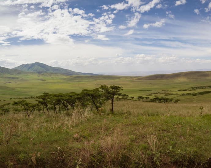 SAFARI KST 314 - SIMBA LODGES 2026 - Tour VI