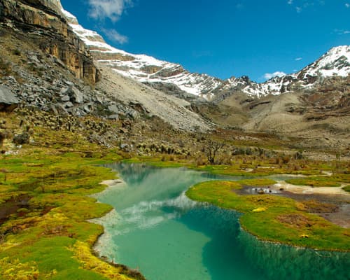 BOGOTÁ, PAISAJE CAFETERO Y CARTAGENA