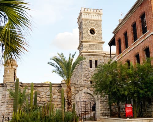 DUNAS Y PLAYAS SONORENSES