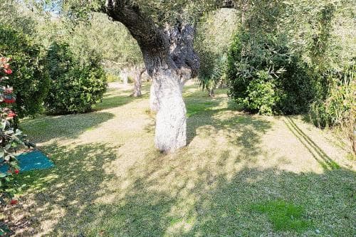 Greek Pride San Giorgio Apartments, 