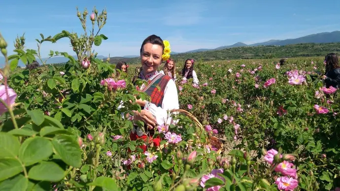 Grupo exclusivo (mínimo 10 personas): tour culinario de vinos búlgaros