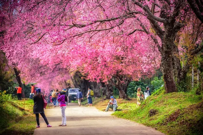 Chiang Mai City Package