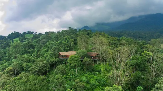 Vythiri Mist Resort, 