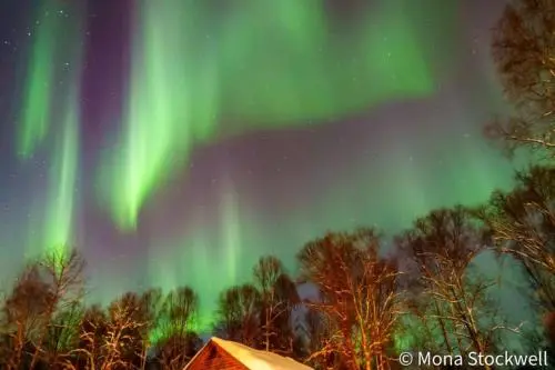 Susitna River Lodging, Suites, 