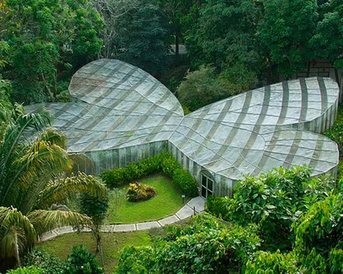 Coffee Route - Armenia & Medellin