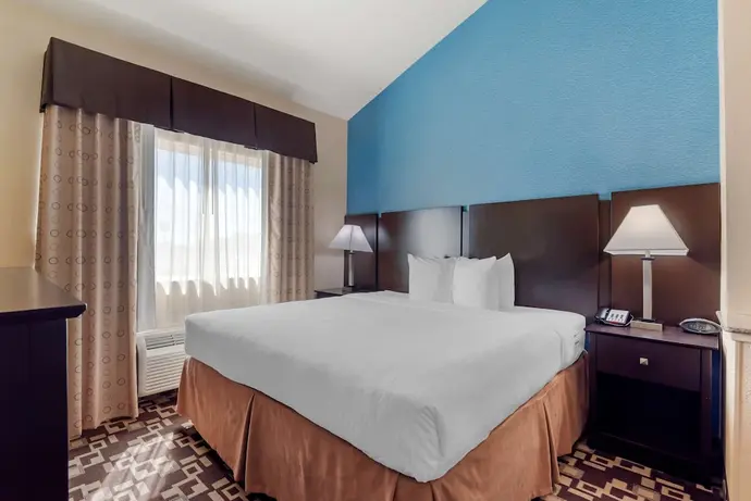 Best Western Plus Arlington North Hotel & Suites, Primary image