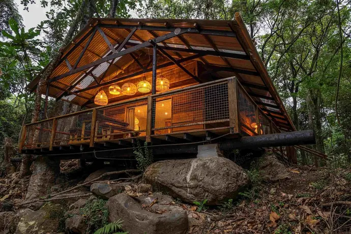 Matumi Trail Forest Lodge, Primary image