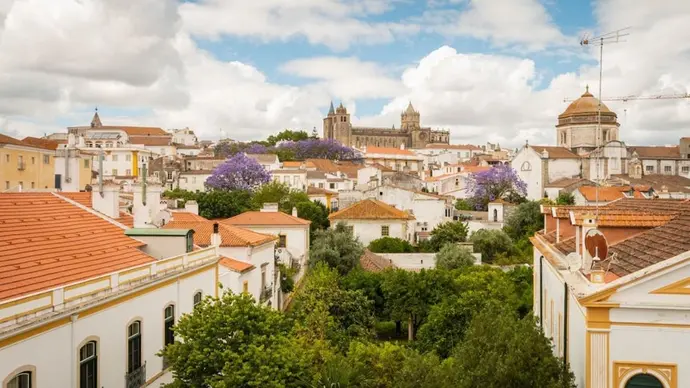 Évora Olive Hotel, Primary image