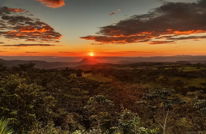 Buena Vista del Rincon Eco Adventure Park, Hotel & Spa, Primary image