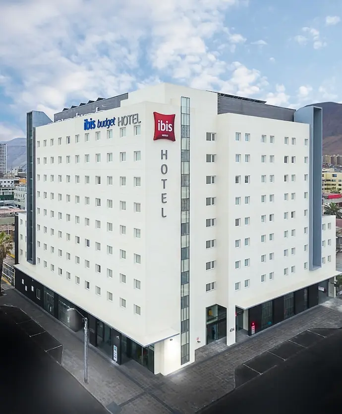 ibis Iquique, Primary image